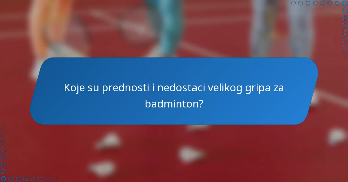 Koje su prednosti i nedostaci velikog gripa za badminton?